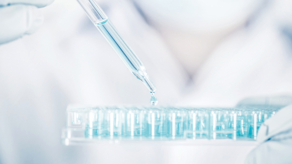 의약품 연구 개발